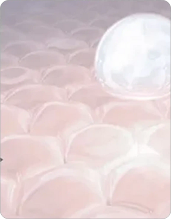 Blue Light Irradiation Tender and clean skin